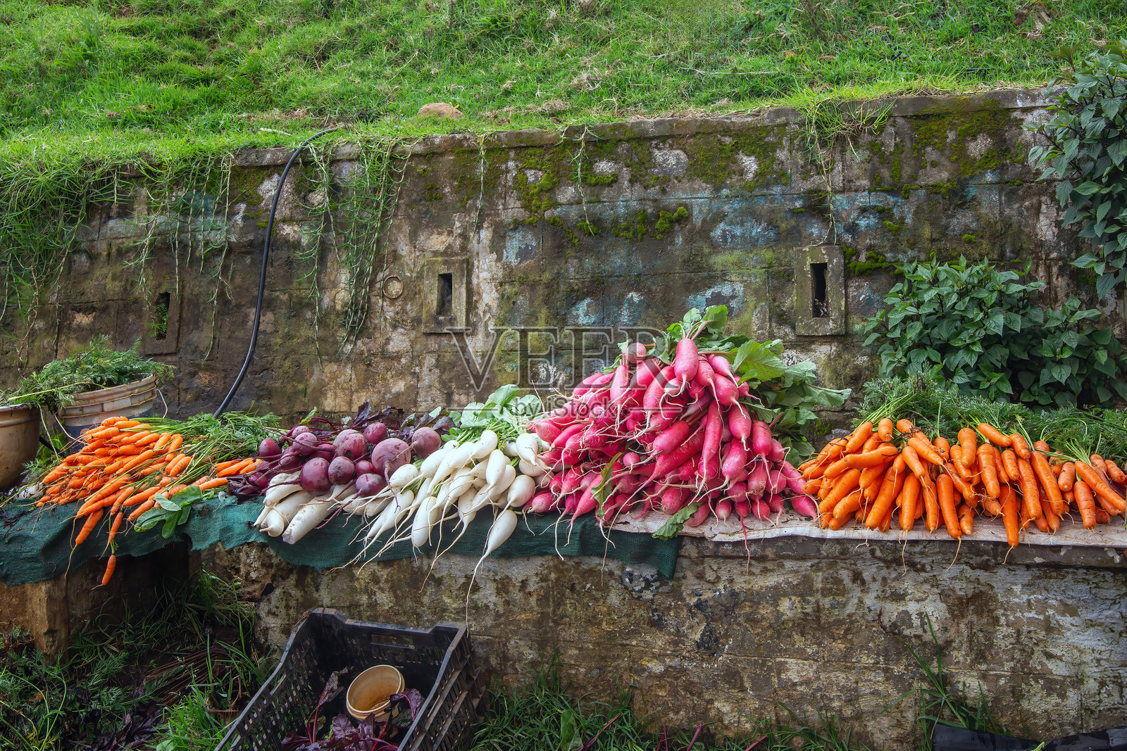 路边的新鲜蔬菜。城市：乌提，泰米尔纳德邦，印度照片摄影图片