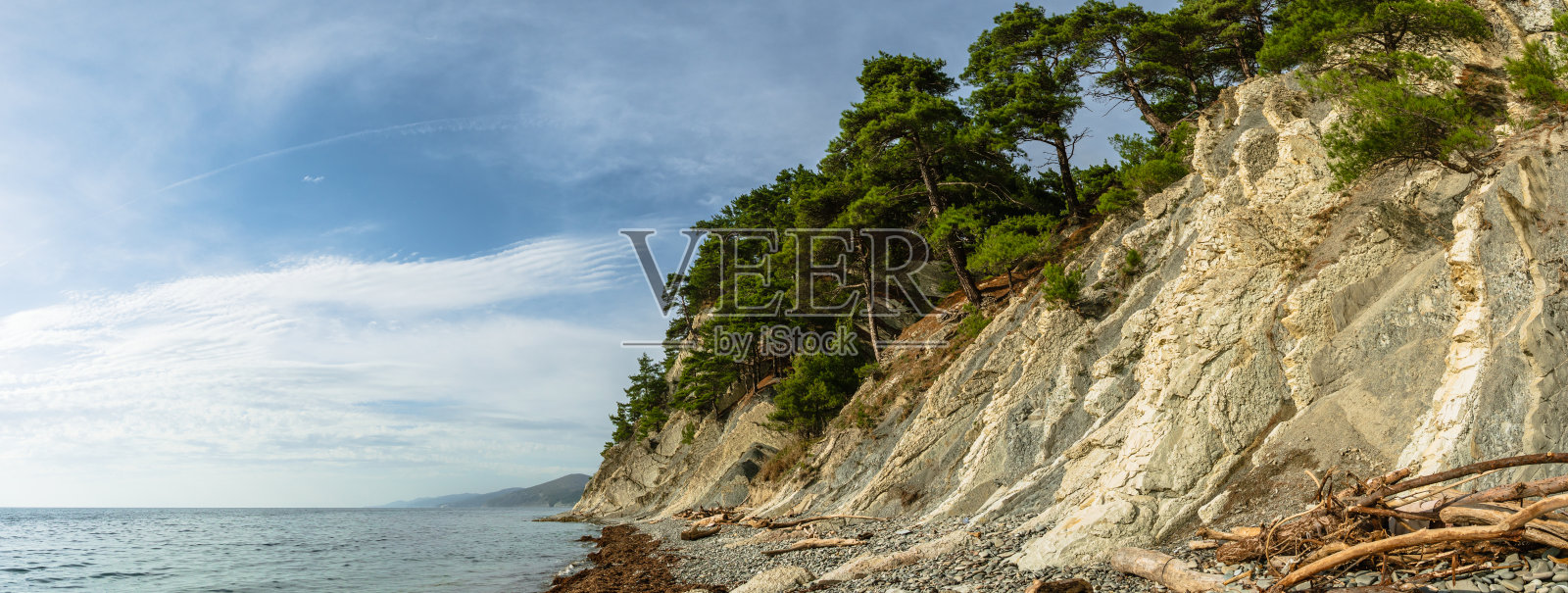 全景照片。海滩上有卵石、木头和干海藻。照片摄影图片