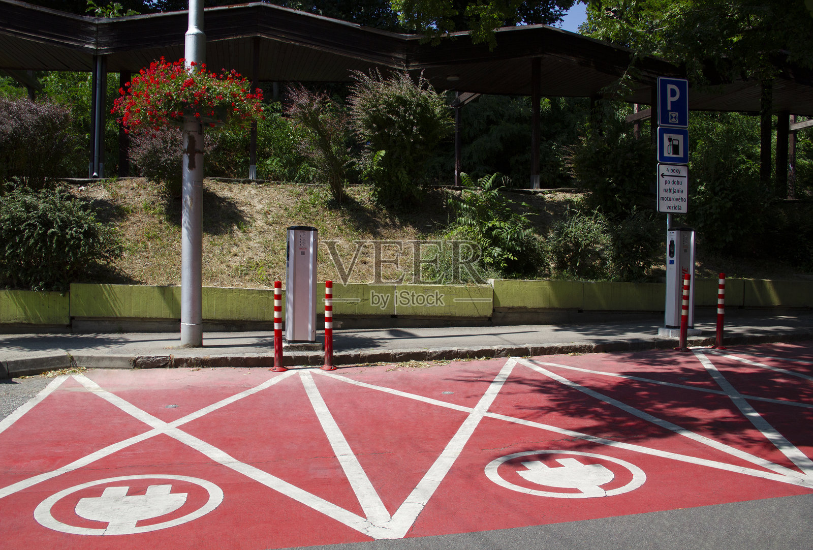 可持续发展概念现实社会报告系列 2020年代上半年 中东欧地区 斯洛伐克 布拉迪斯拉发首都 电动车充电站 可持续交通 可再生能源 地球日照片摄影图片