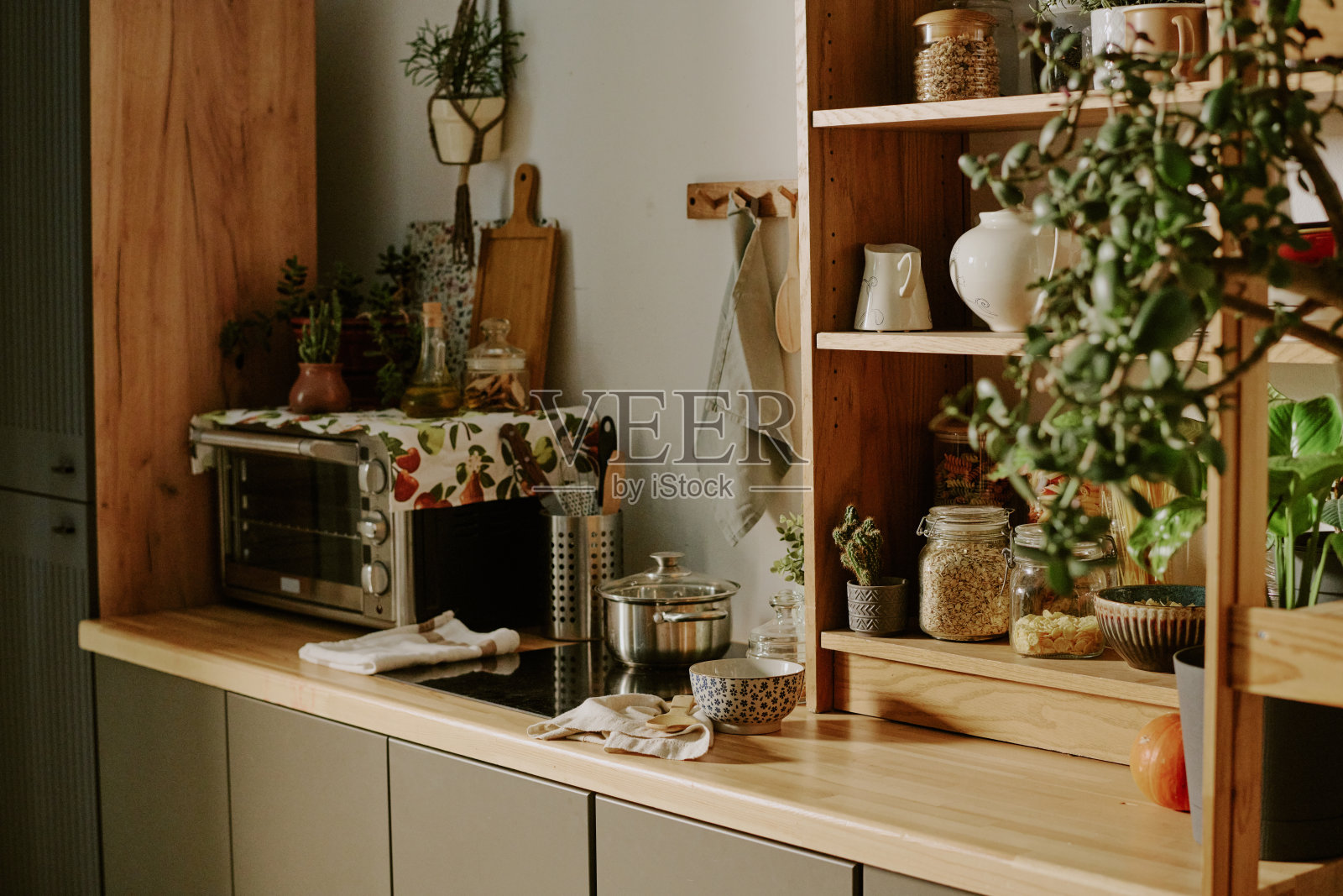 现代厨房配备现代电器和植物展示照片摄影图片