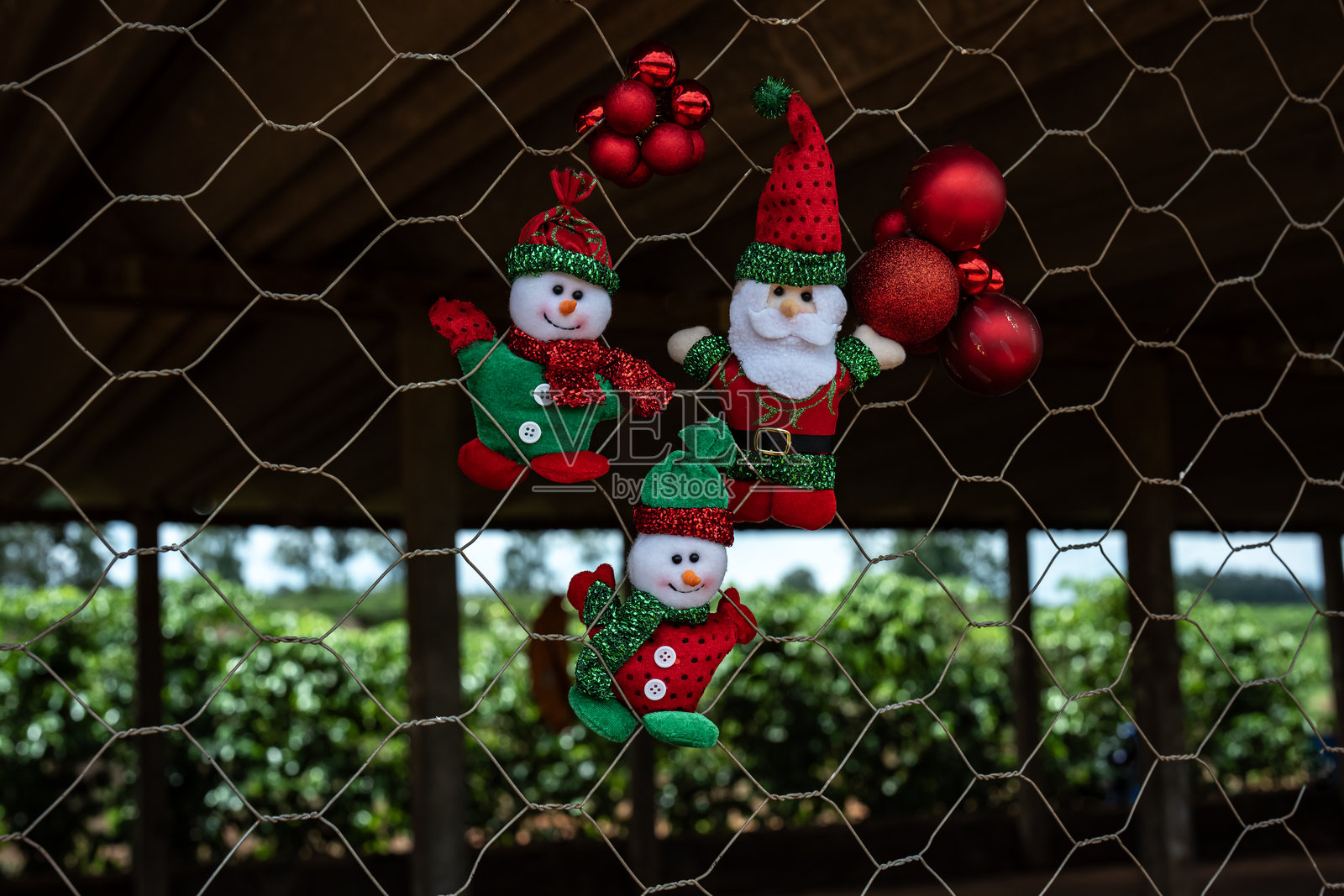 圣诞老人和雪人一起庆祝圣诞节和新年。照片摄影图片