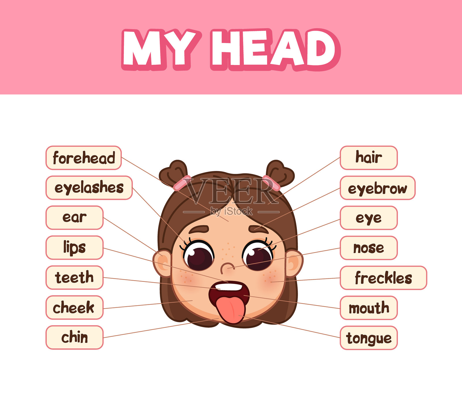 女孩头部解剖图。面部各部分及名称。可爱的卡通风格插图。插画图片素材