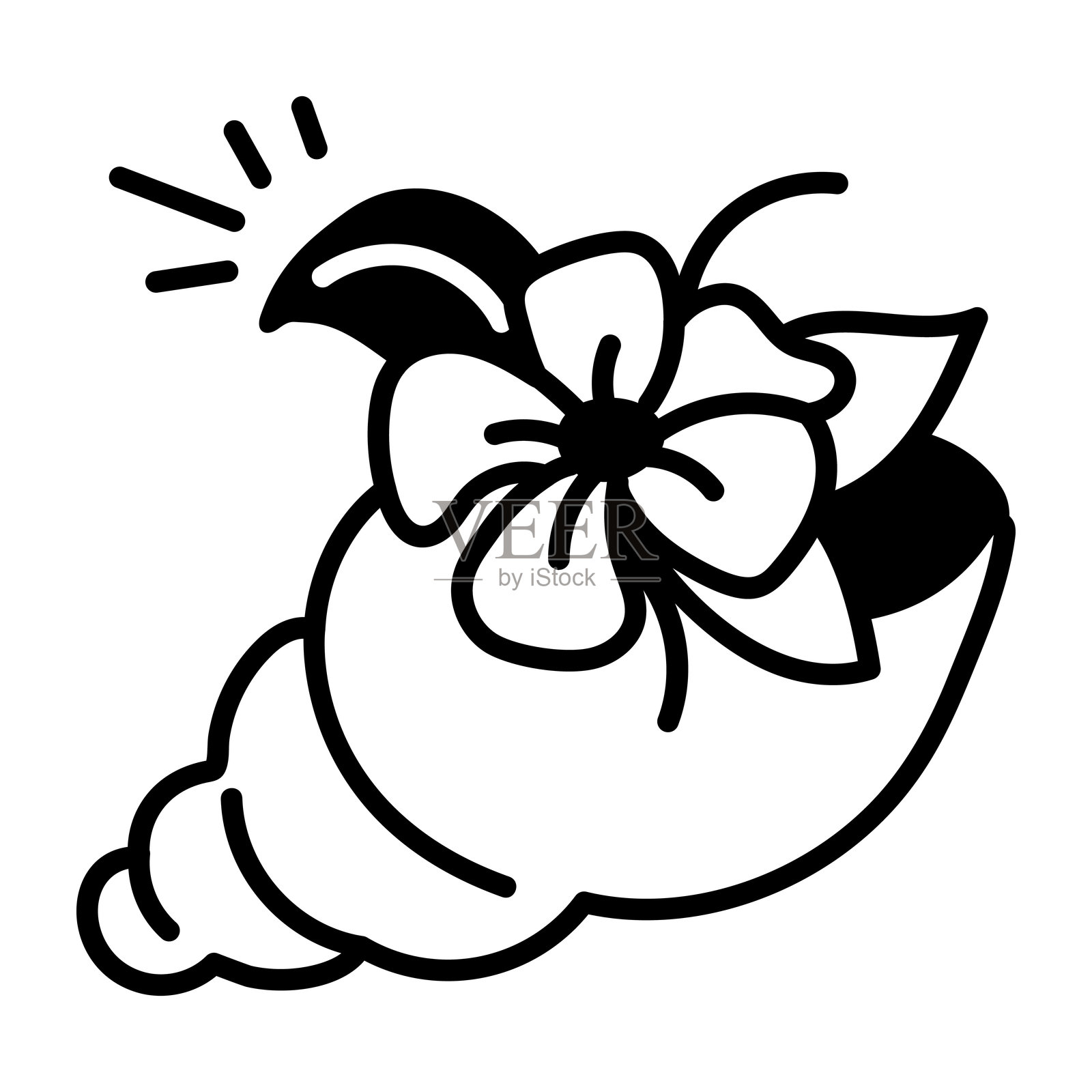 手绘风格的漂亮贝壳图标插画图片素材