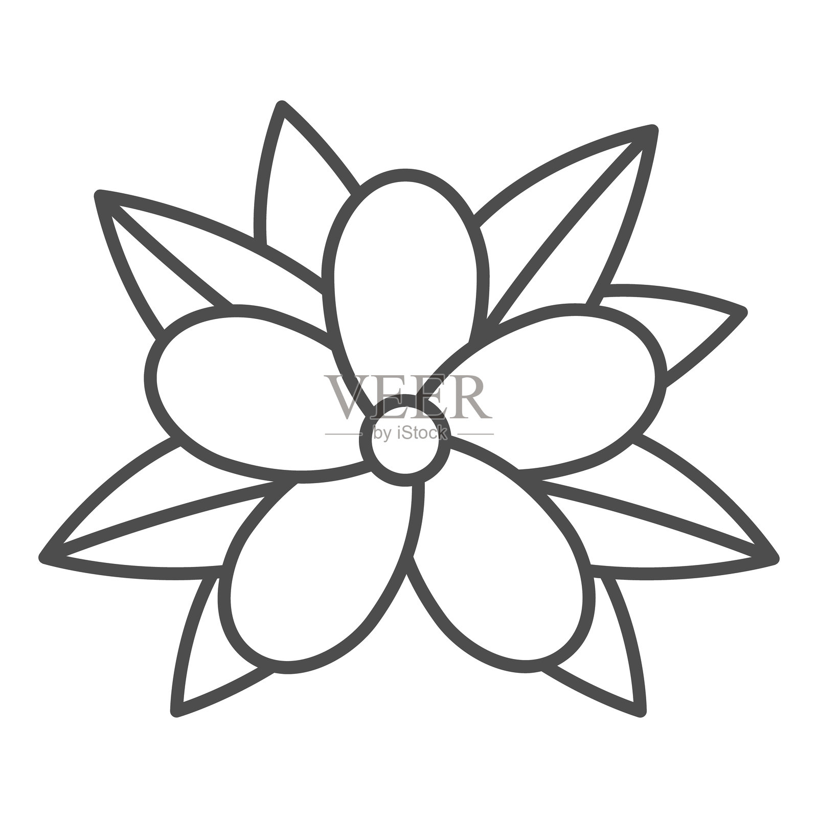 泰国花卉与叶子的细线图标，泰国植物自然概念。矢量图形。香气疗法植物标志，白色背景上的轮廓风格图标，适用于移动或网页设计。插画图片素材