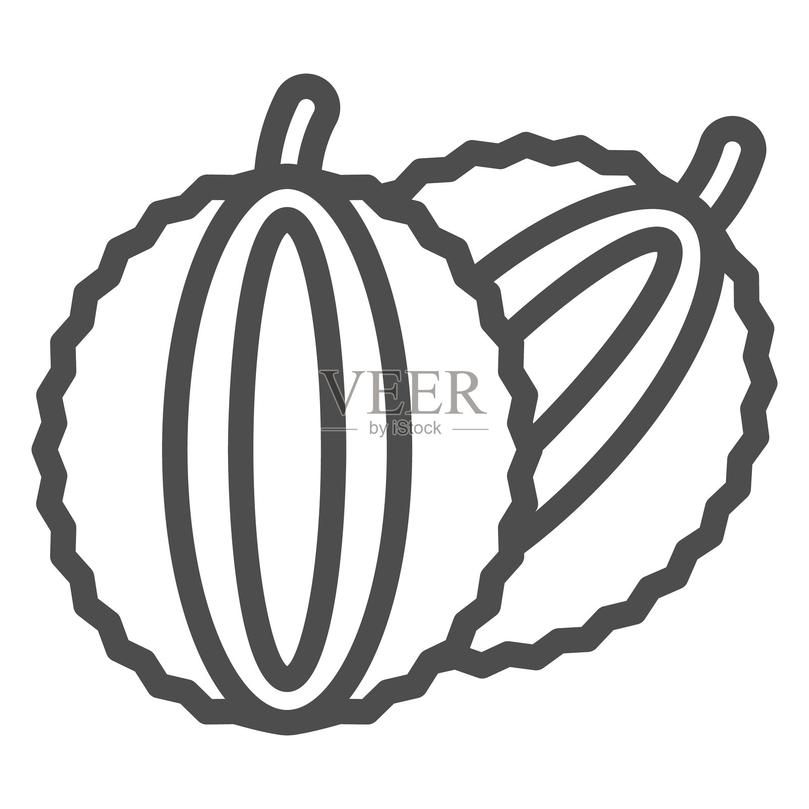 两个椰子配对线条图标，果汁和冷饮概念。矢量图形。椰子树果实标志，白色背景上的轮廓风格图标，适用于移动或网页设计。插画图片素材