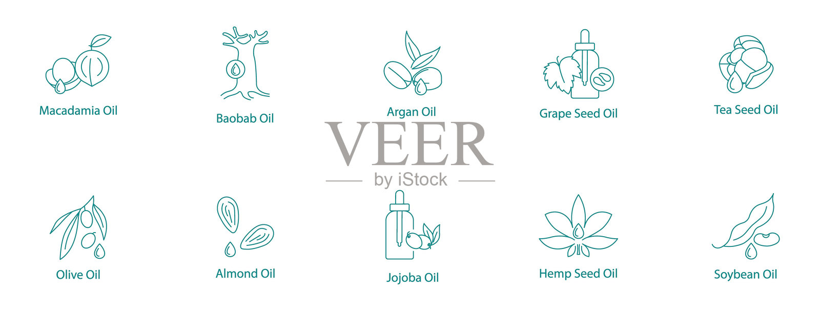 基础天然油矢量图标集：澳洲坚果、猴面包树、阿甘油、葡萄籽、茶籽、橄榄、杏仁、荷荷巴、 hemp、大豆插画图片素材