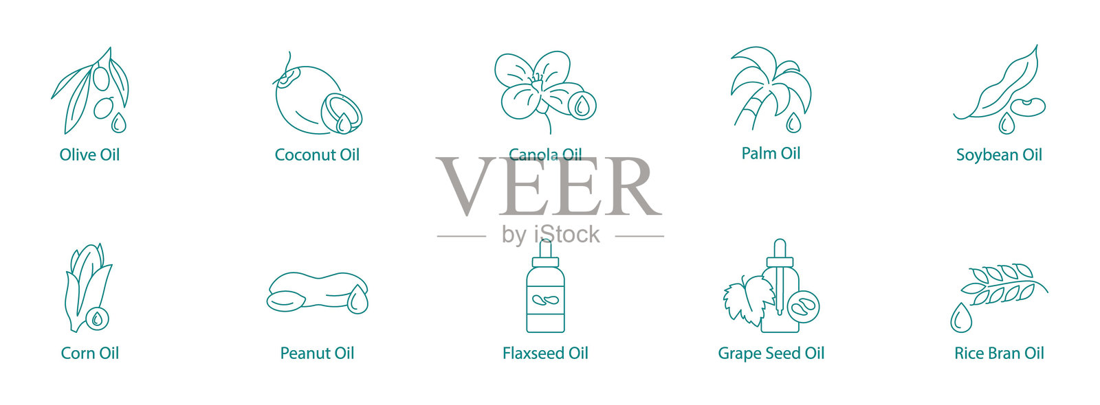 综合烹饪油矢量图标集：橄榄油、椰子油、菜籽油、棕榈油、大豆油、玉米油、花生油、亚麻籽油、葡萄籽油、米糠油插画图片素材