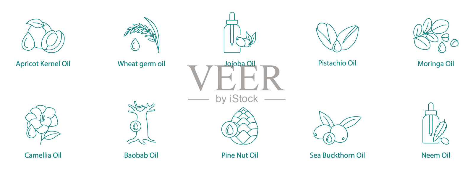 异国植物油矢量图标集：杏仁核油、小麦胚芽油、荷荷巴油、开心果油、莫林加油、山茶花油、猴面包树油、松子油、沙棘油、印度楝油插画图片素材