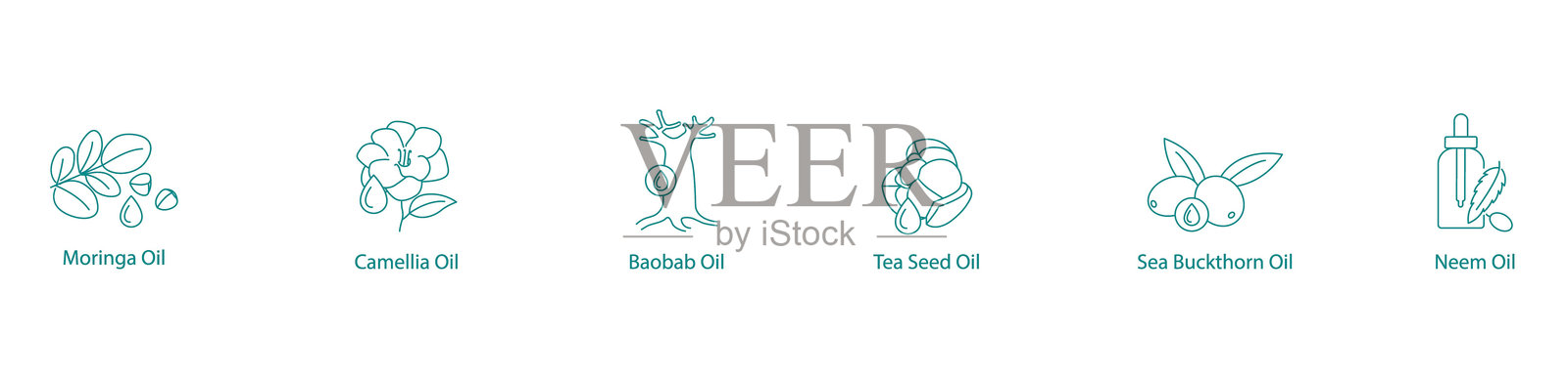 异国情调油的矢量图标集：莫林加油、山茶油、猴面包树油、茶籽油、沙棘油、印度楝油插画图片素材