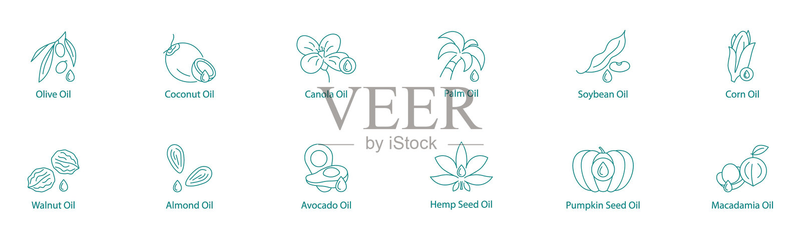 多用途烹饪油矢量图标集：橄榄油、椰子油、菜籽油、棕榈油、大豆油、玉米油、核桃油、杏仁油、鳄梨油、 hemp油、南瓜籽油、夏威夷果油插画图片素材