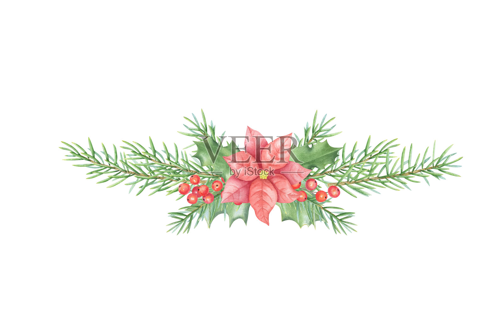 圣诞装饰。水彩画的云杉树枝组合插画图片素材