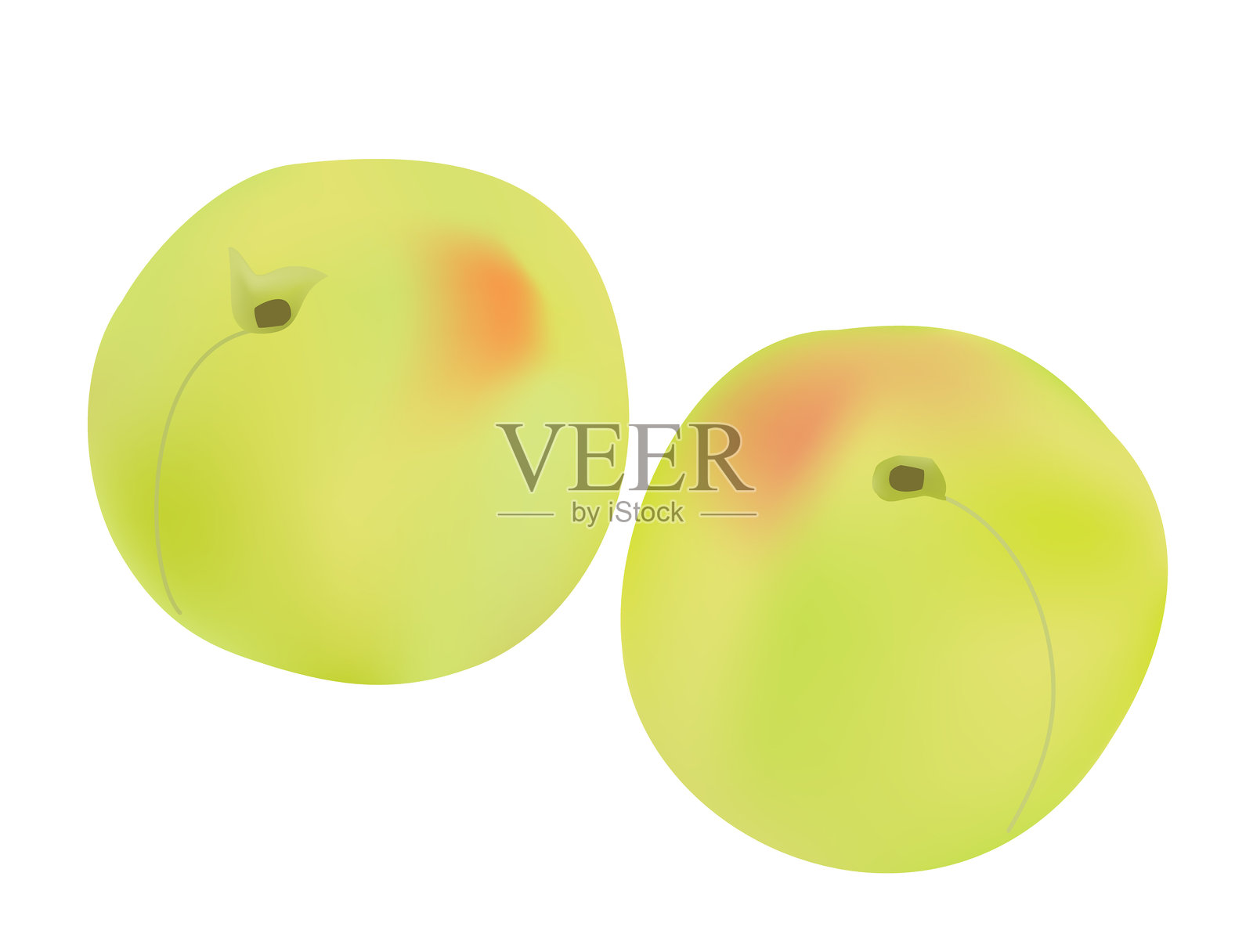 日本青杏水果插图插画图片素材