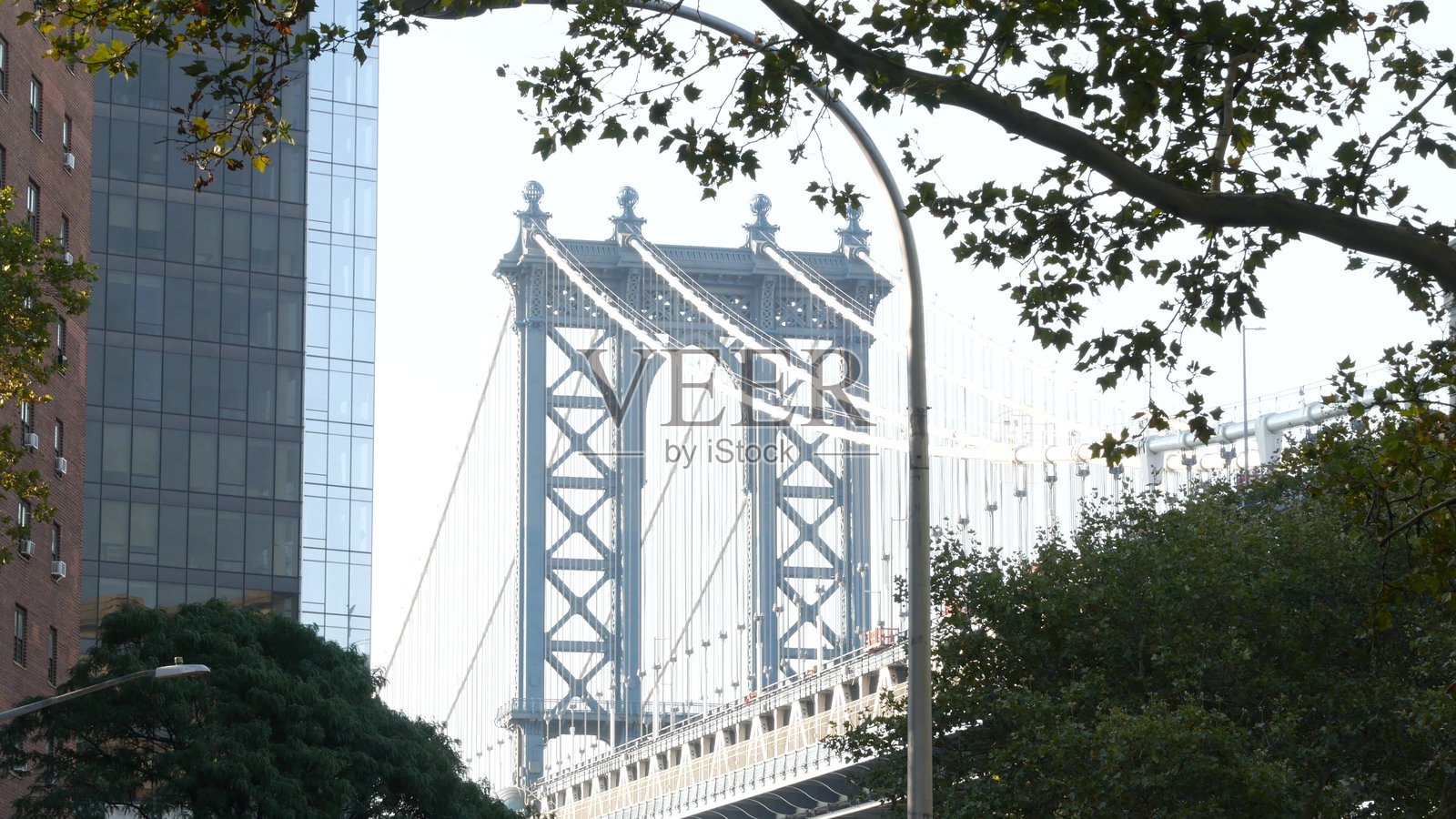 曼哈顿大桥通往布鲁克林的Dumbo。纽约市的象征。美国旅游地标。树叶。照片摄影图片