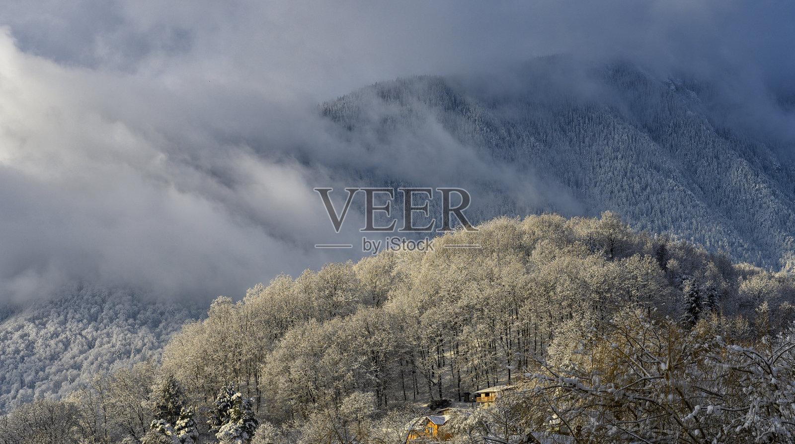 冬季魔法展开照片摄影图片