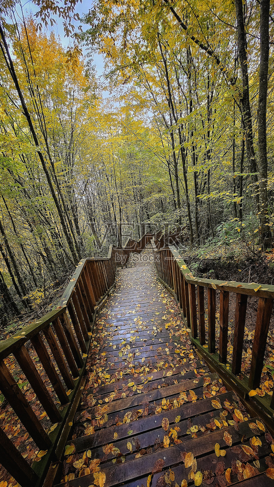 秋天的山谷步道 01照片摄影图片