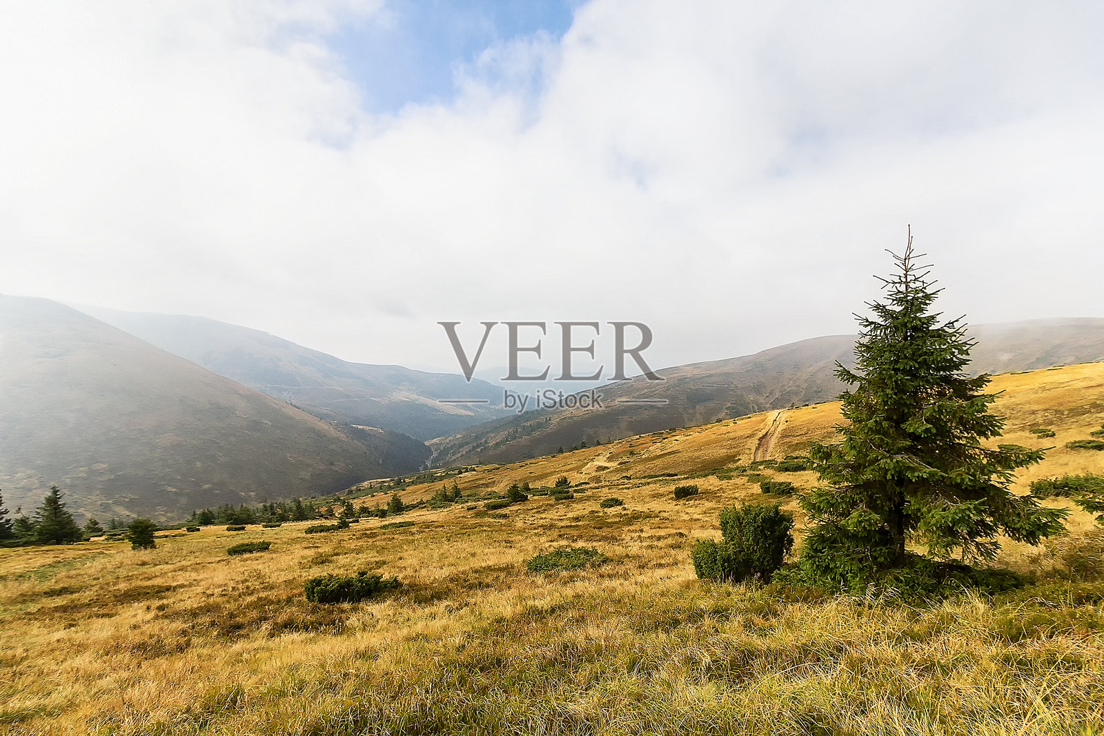 美丽的秋季山地风景。喀尔巴阡山脉照片摄影图片