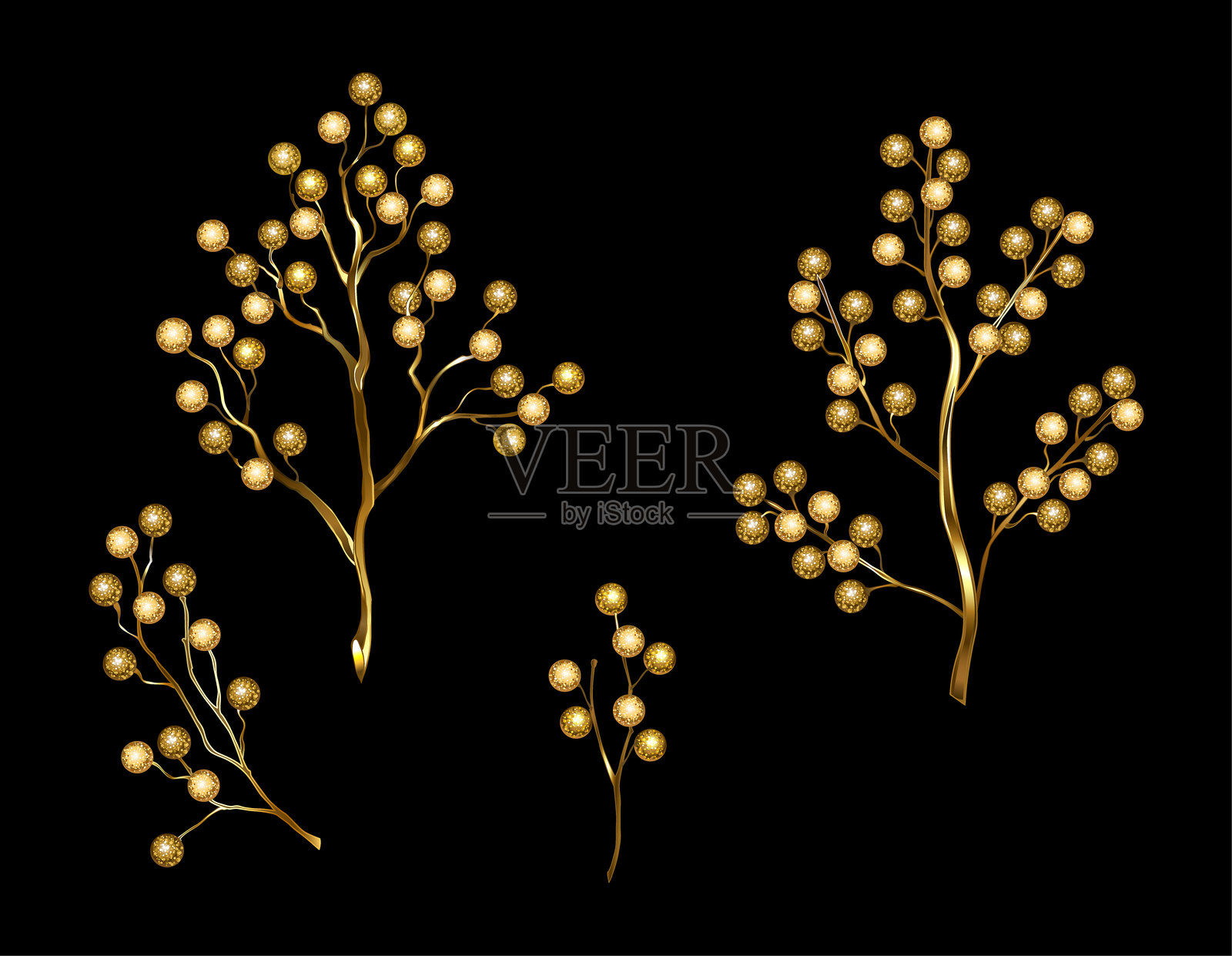 金色冬青冬莓套装插画图片素材