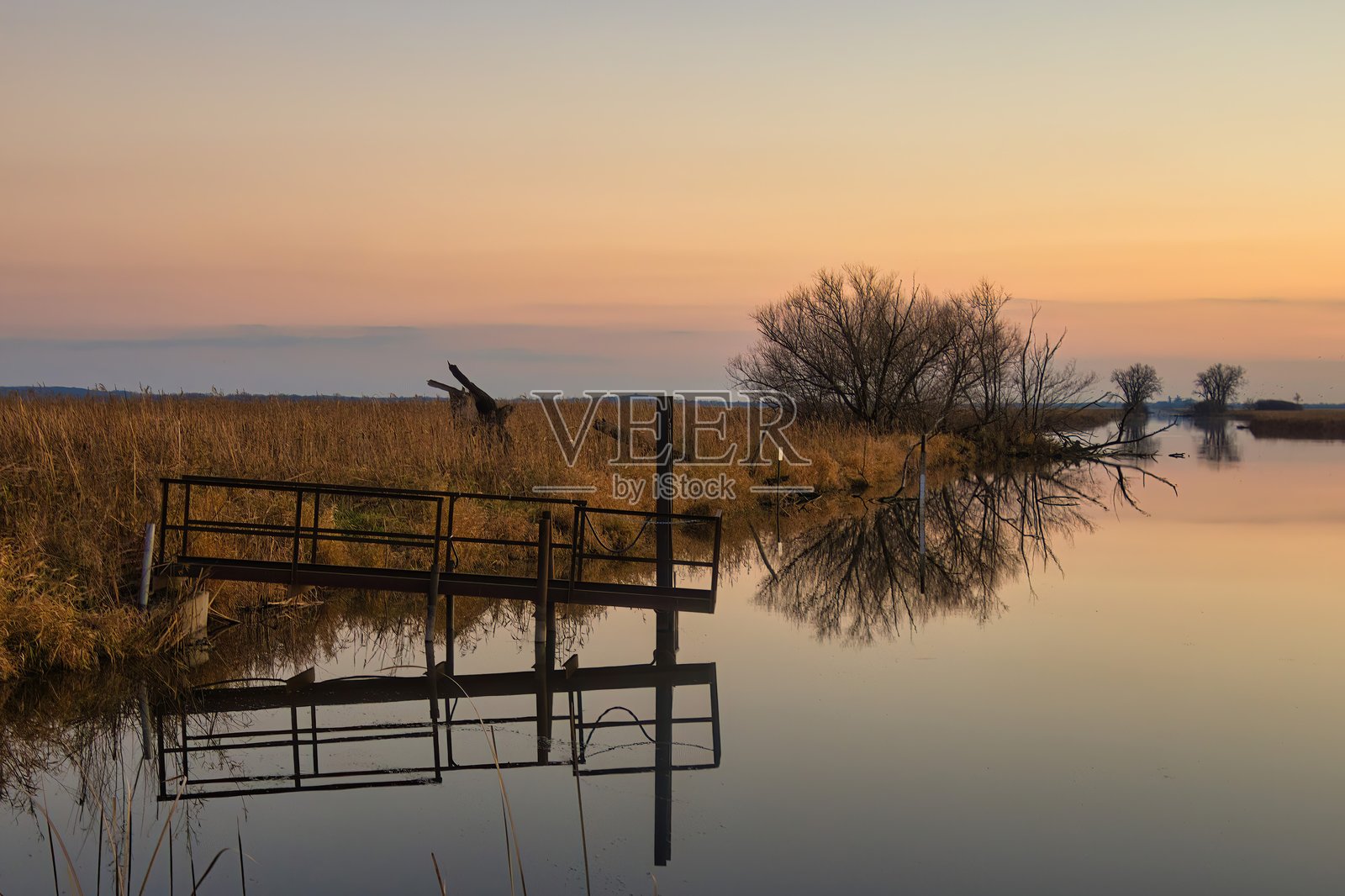 霍里孔沼泽的反射码头照片摄影图片