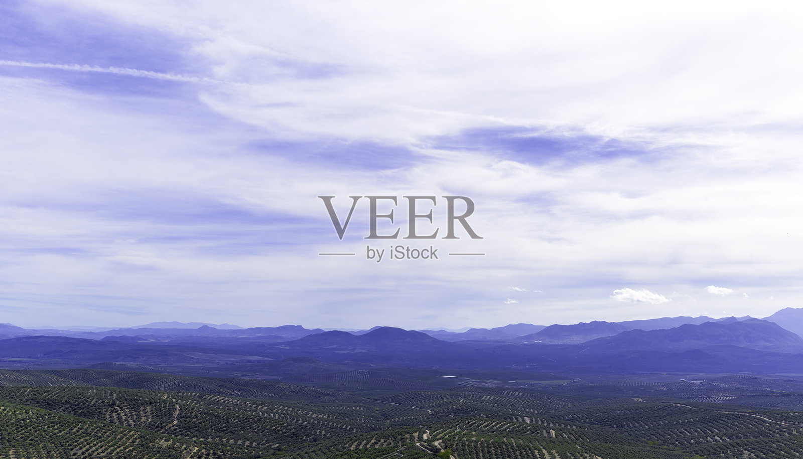 美丽的山脉与湛蓝的天空。山谷被橄榄树田覆盖，俯瞰乌贝达的丘陵。照片摄影图片