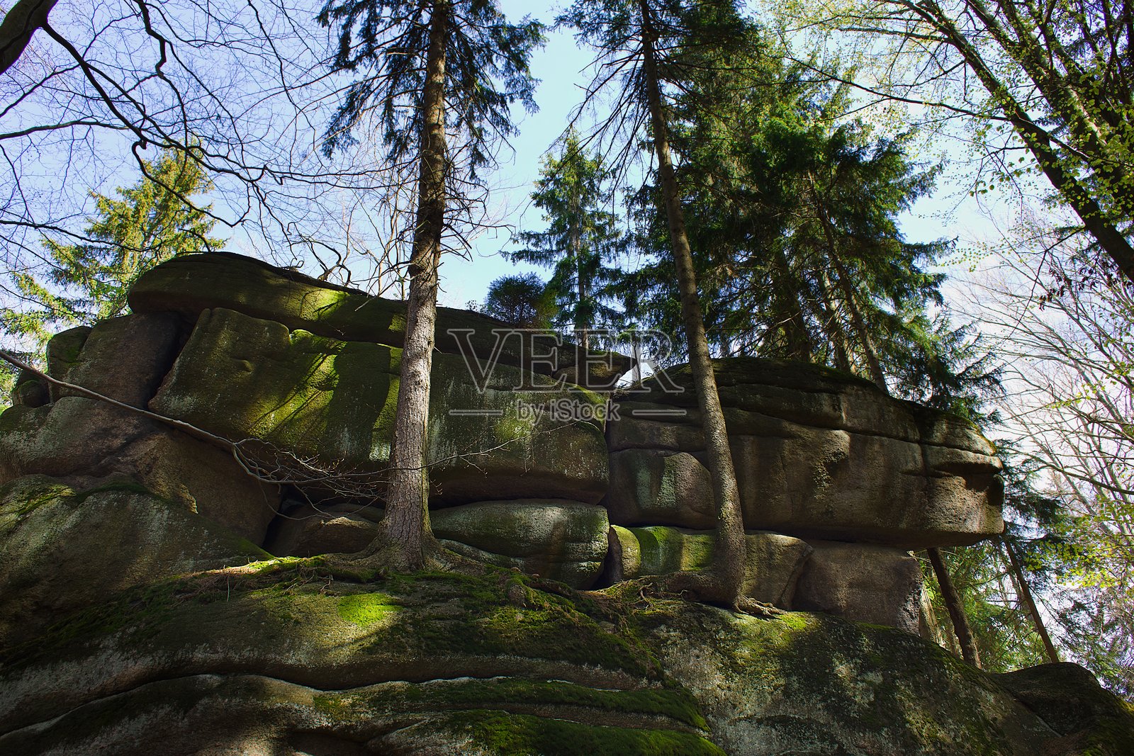 阳光照耀下的卡尔科诺什山岩石，宁静森林中的干枯树叶。照片摄影图片