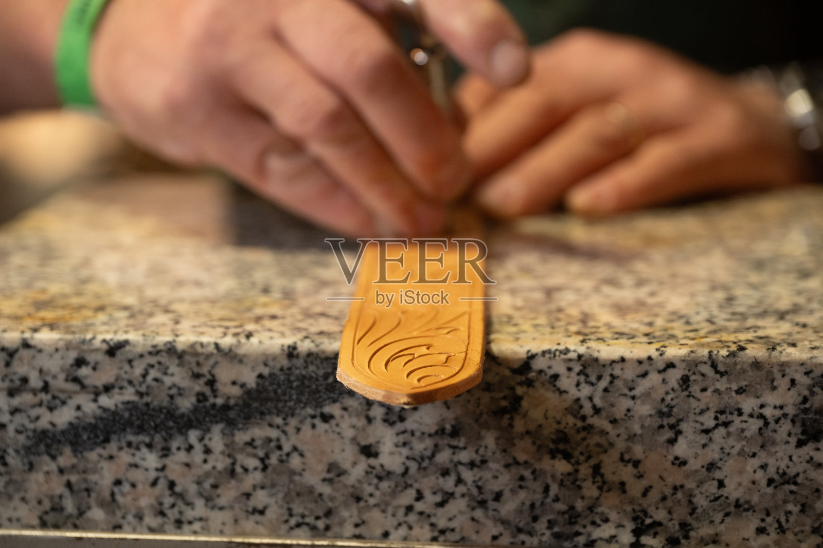 克雷莫纳的马展，伦巴第，意大利照片摄影图片