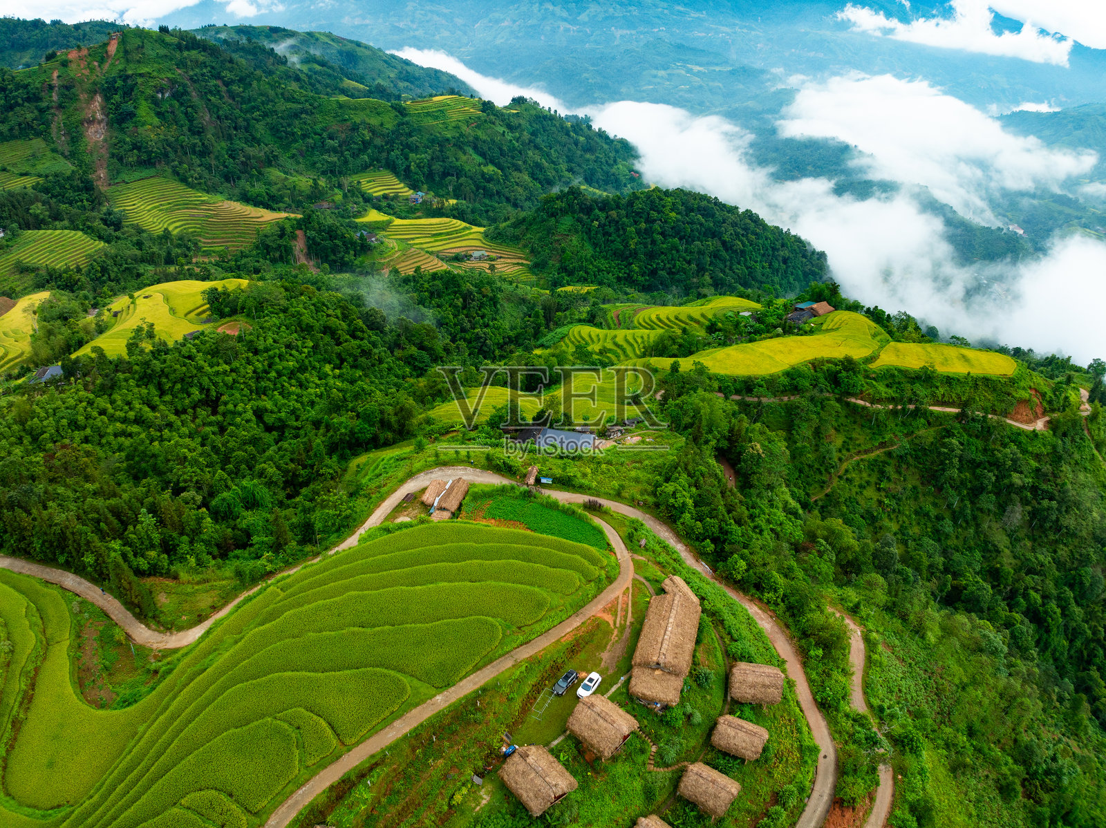 收割季节的稻田梯田航拍，越南北部乡村的绿色农业田野照片摄影图片
