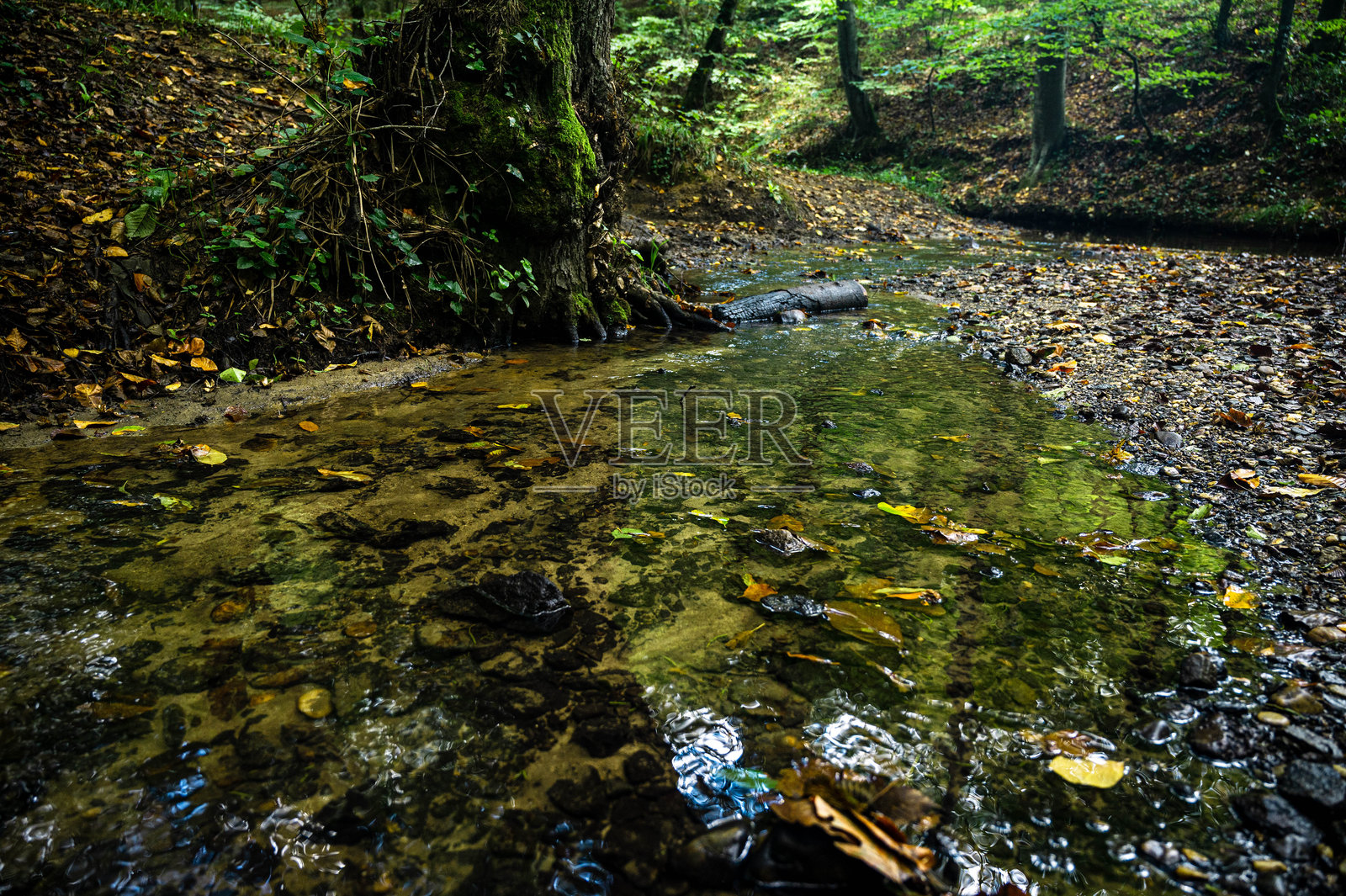 秋天的照片照片摄影图片