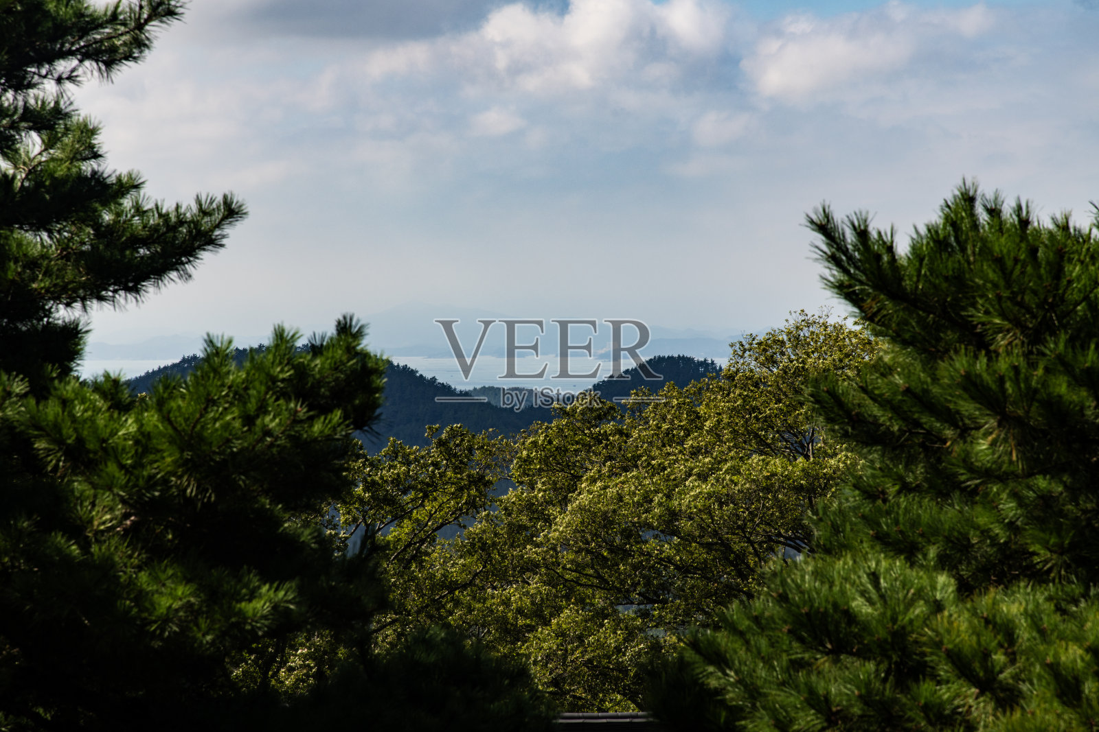 山上的海洋照片摄影图片