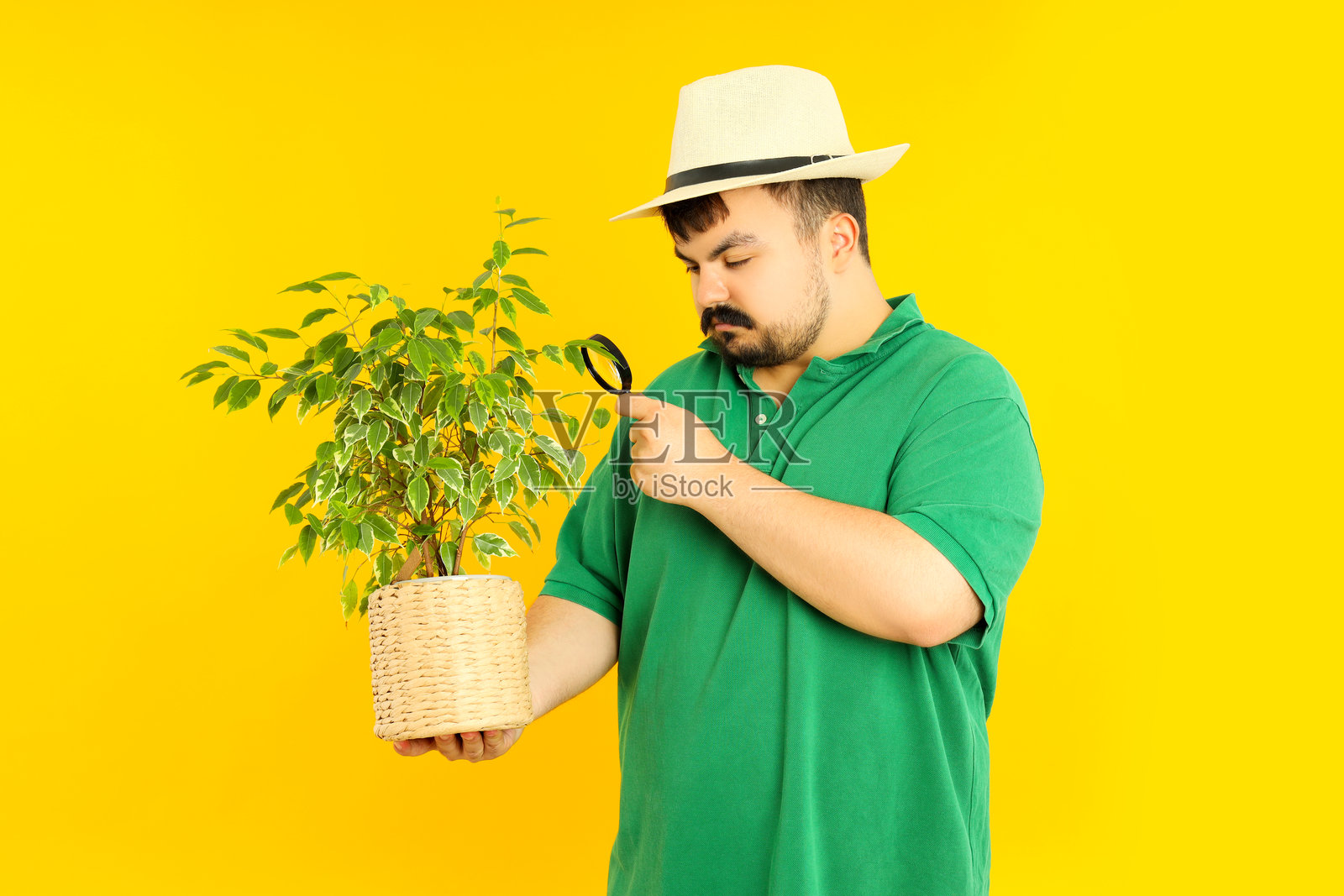 年轻胖男人与植物在黄色背景上照片摄影图片