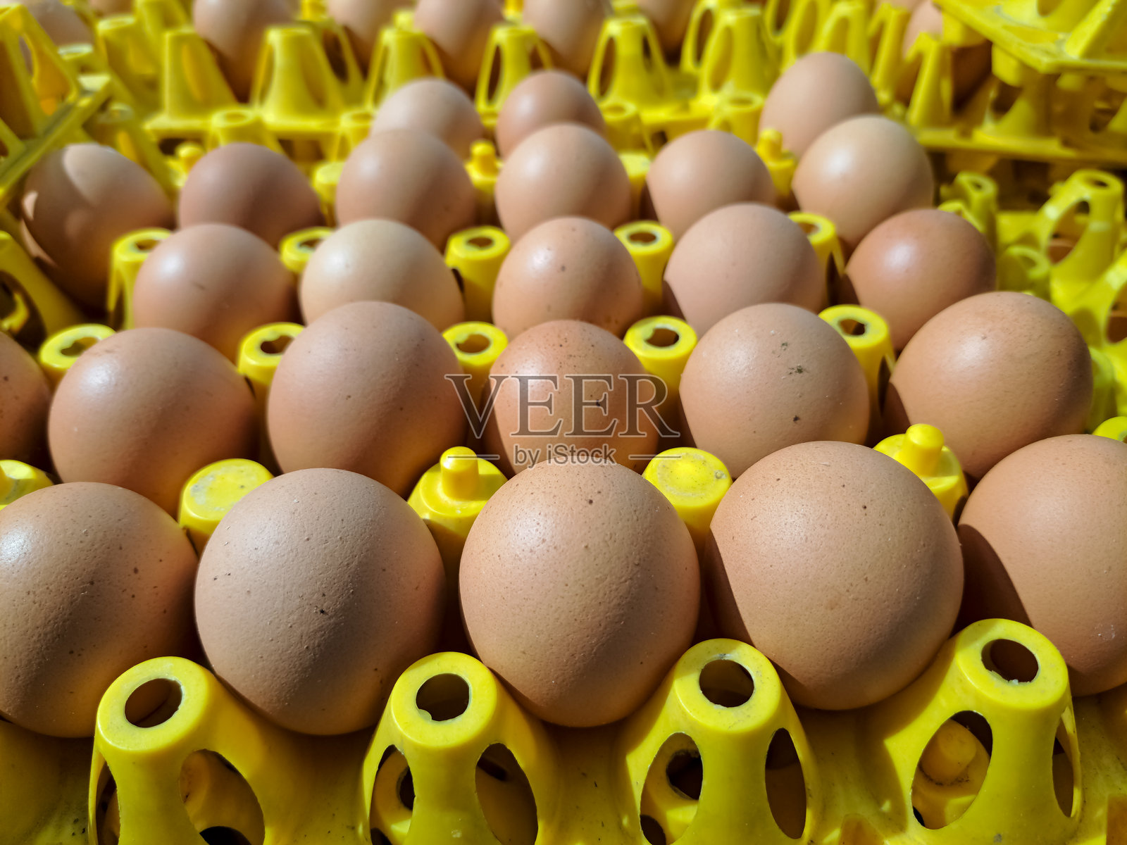 鸡蛋在容器中。照片摄影图片