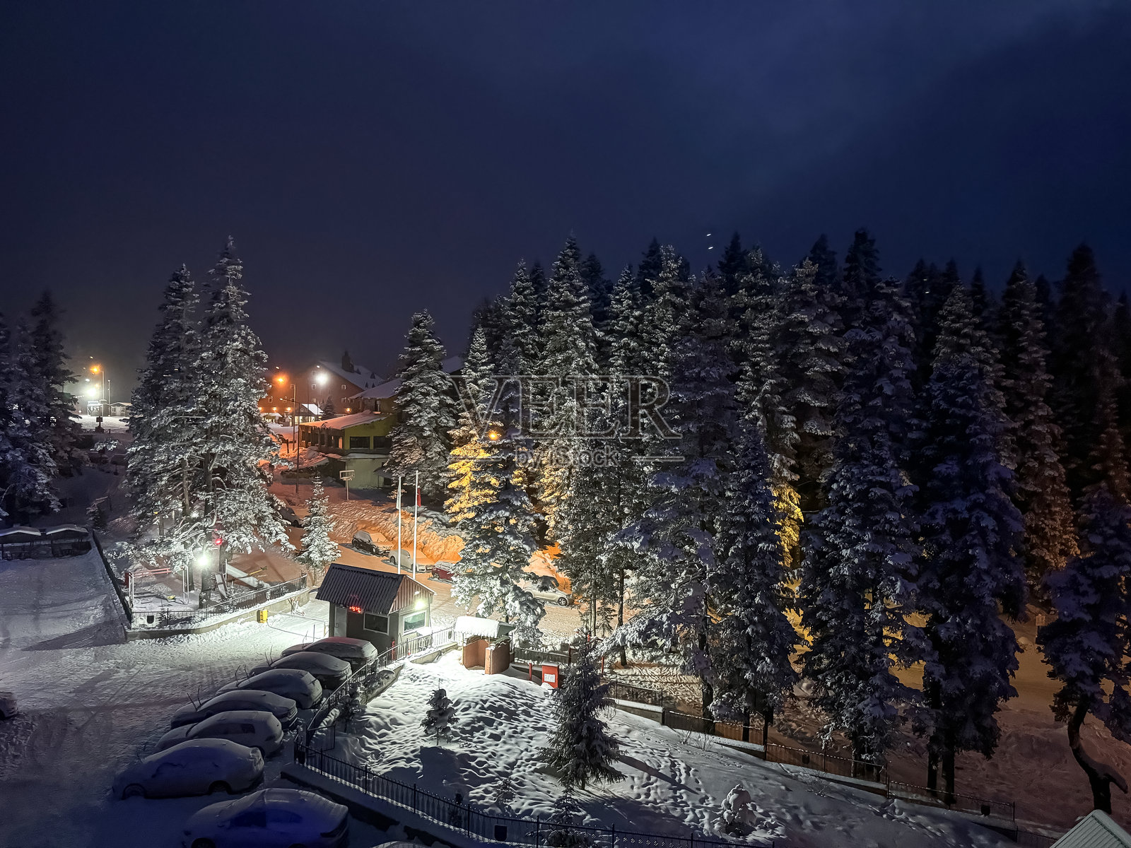 冬季夜晚的雪树与晴朗天空照片摄影图片