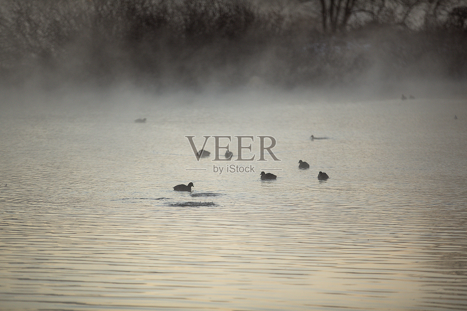 冬季风景照片摄影图片