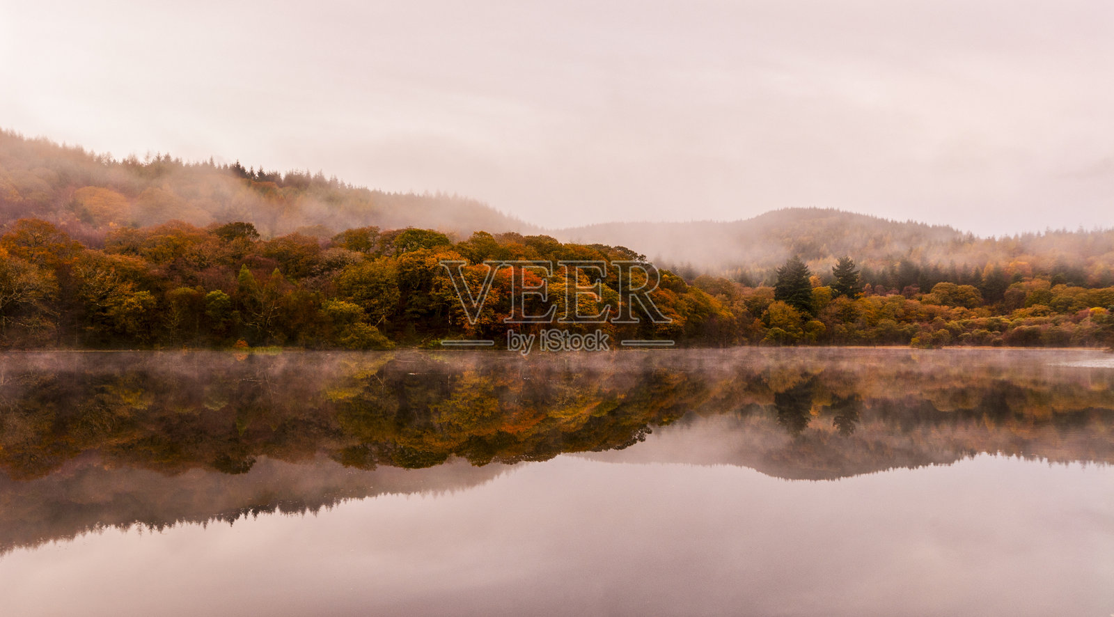树木映衬下的湖泊美景与天空照片摄影图片