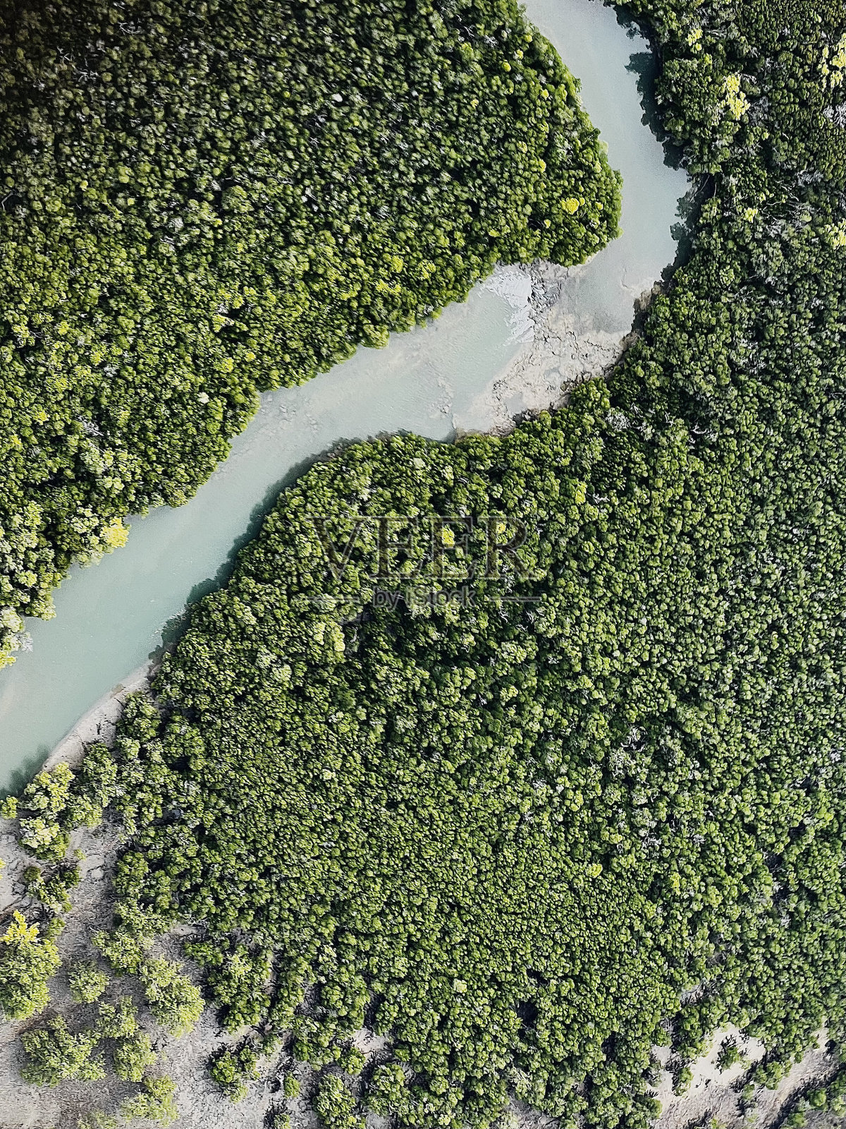 湿地照片摄影图片