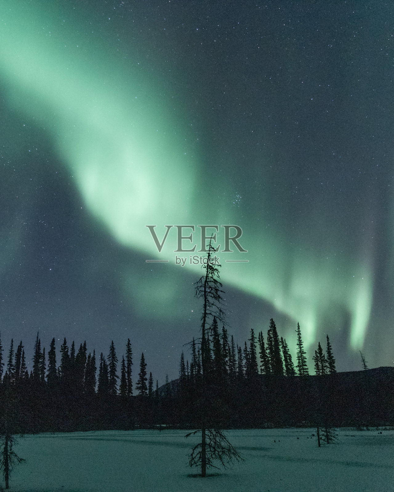 冬季时在育空地区看到的壮观北极光，雪覆盖的景观。照片摄影图片