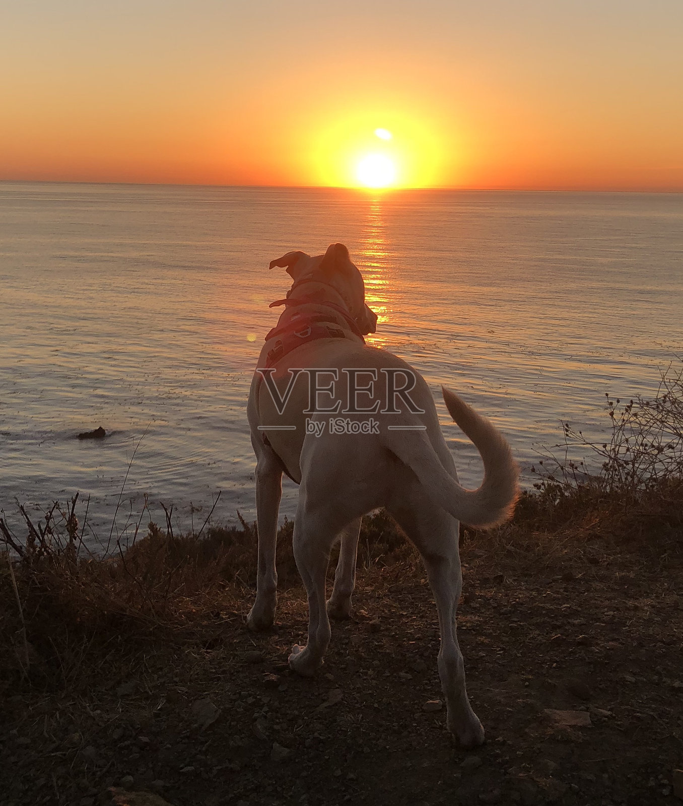 能源之夕照片摄影图片