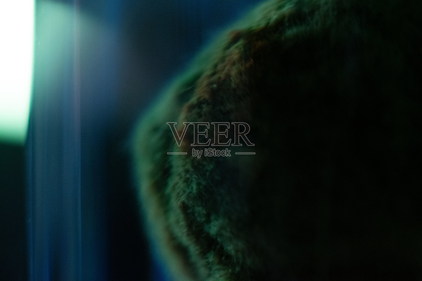 抽象行星球的特写图，冷色调照片摄影图片