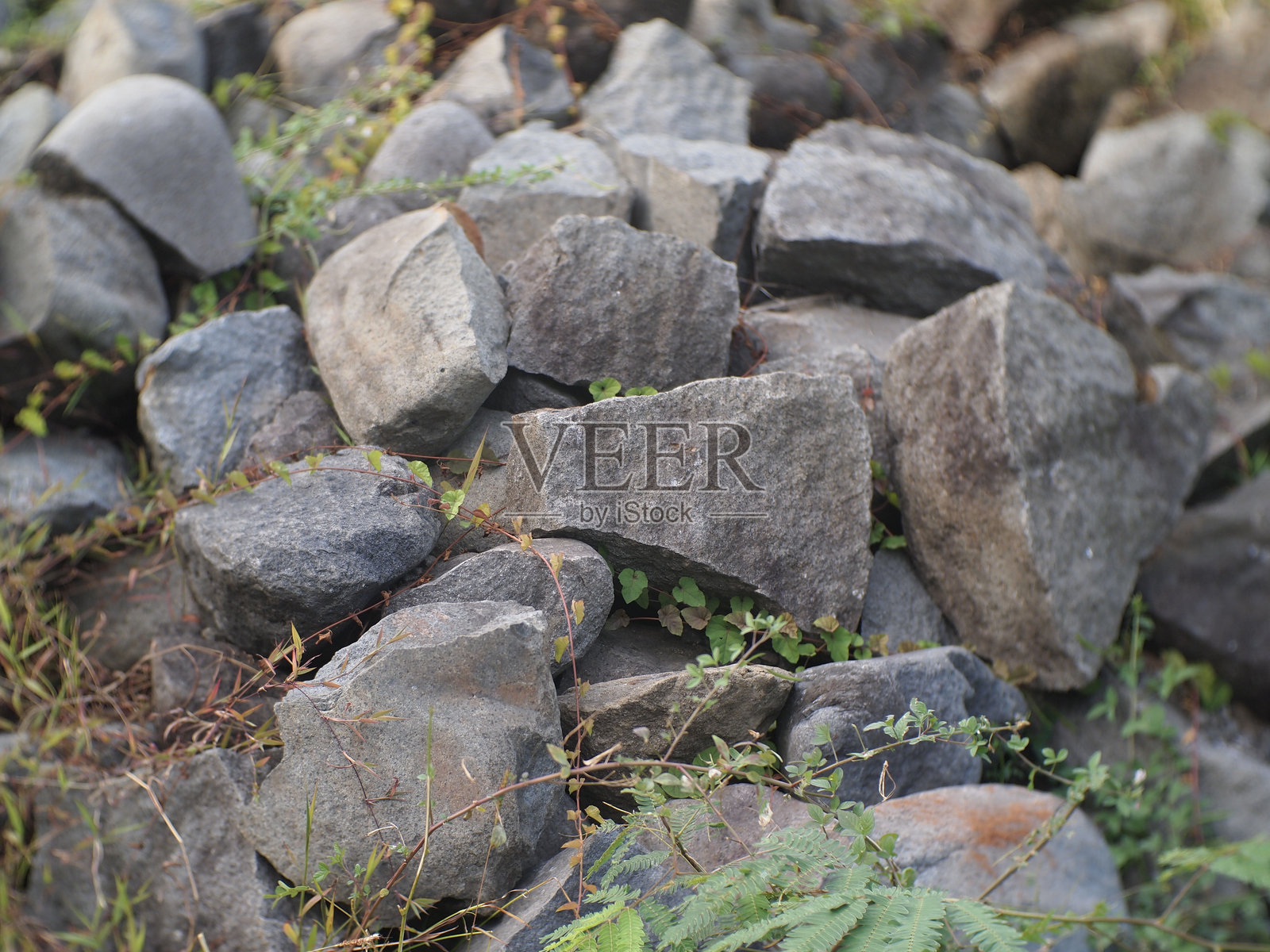 在草地上堆放河石。石头裂开。照片摄影图片