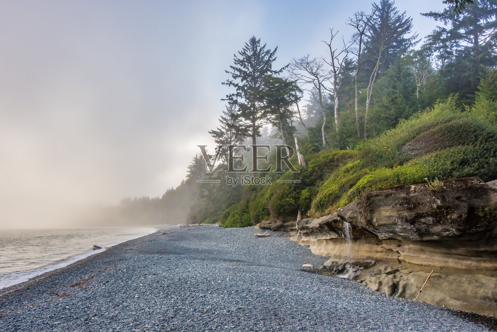 宁静的卵石海滩，雾气弥漫的森林和岩石悬崖照片摄影图片