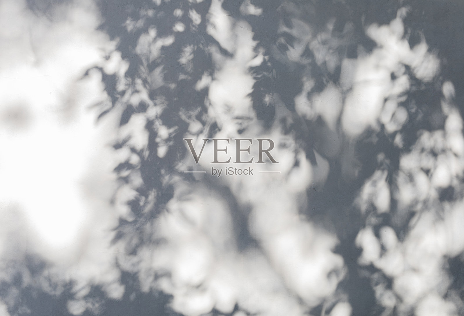 阳光明媚的日子里，白色的旧墙上投射出阴影照片摄影图片