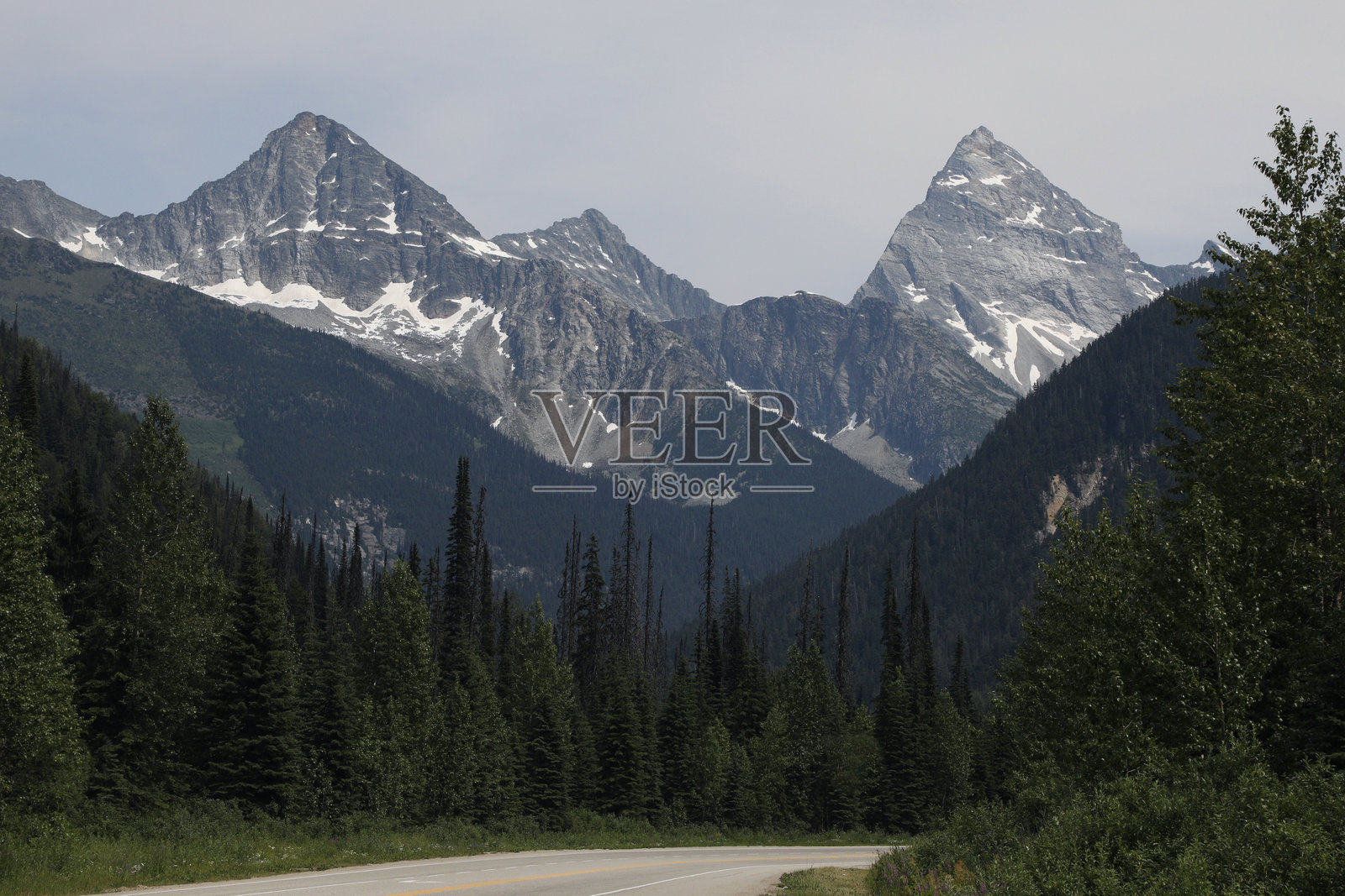 加拿大不列颠哥伦比亚省罗杰斯山口的1号公路照片摄影图片