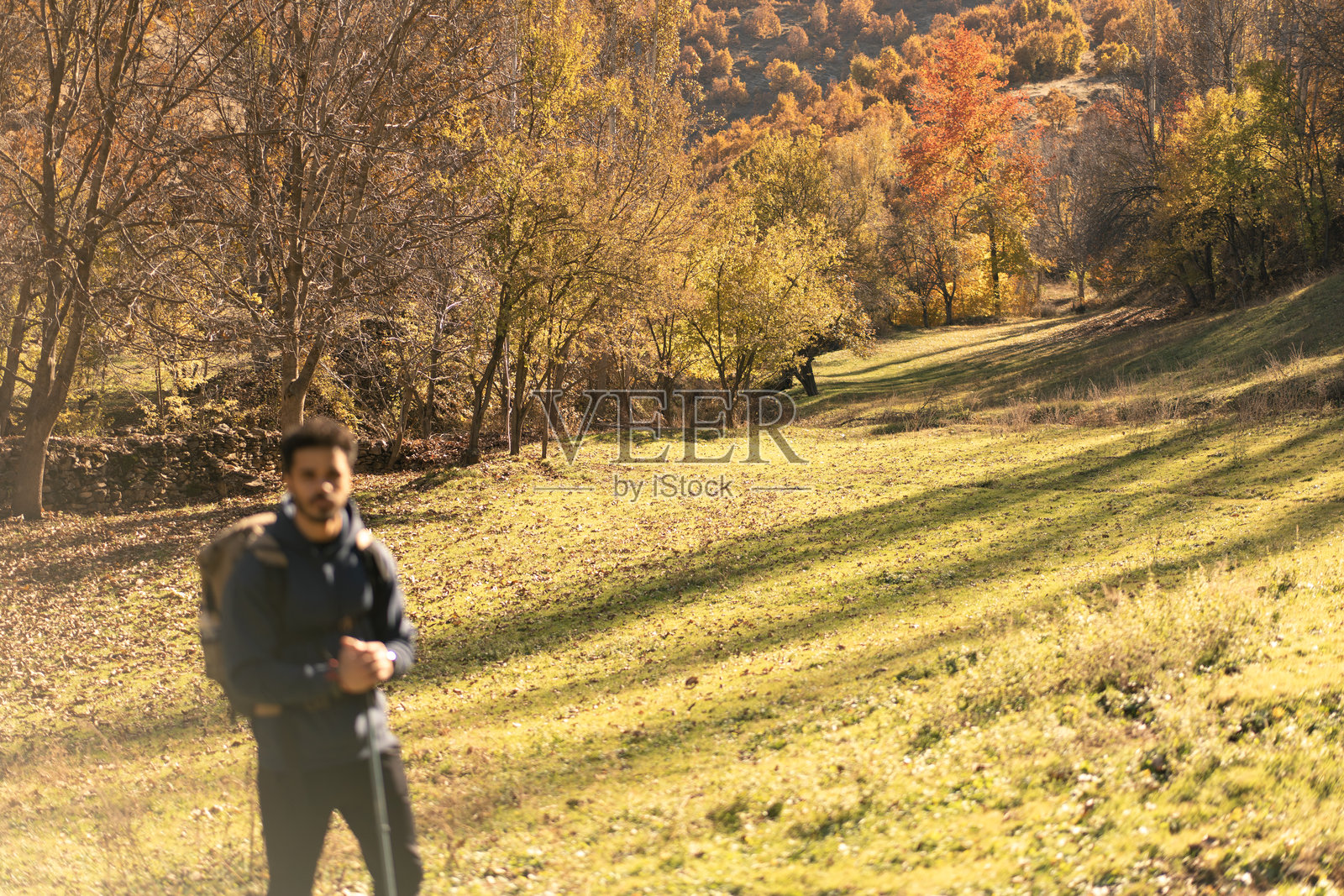 在阳光明媚的秋日，一位徒步旅行者走在五彩斑斓的森林中照片摄影图片