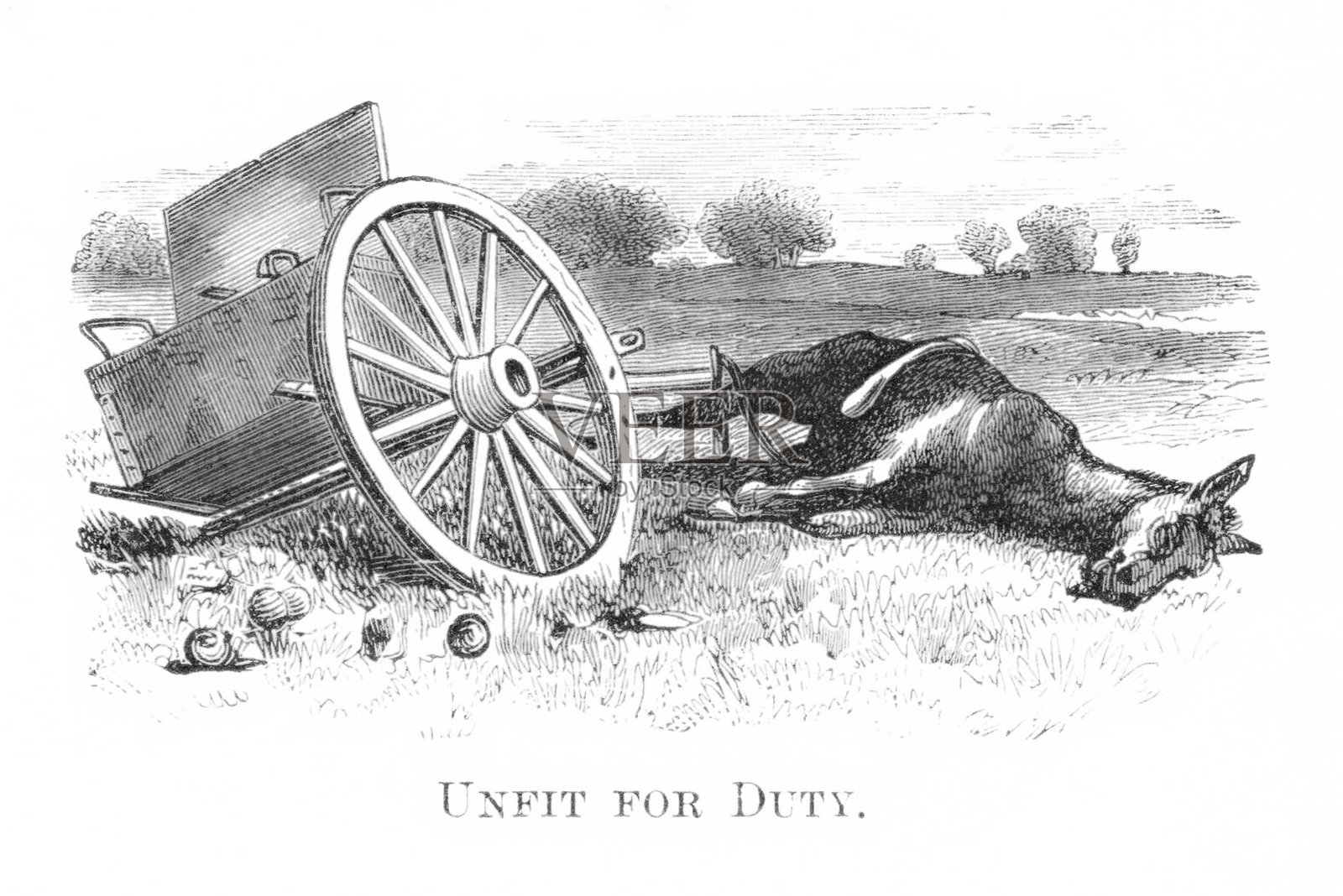 动物虐待，军用驴因过度劳累而倒下插画图片素材
