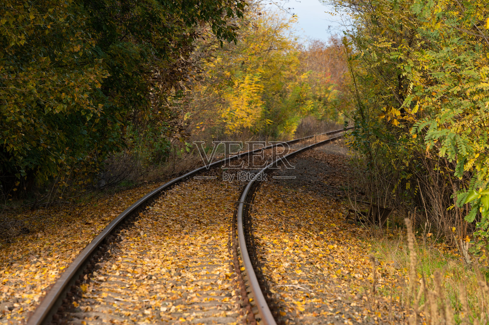 秋天树叶隧道中的弯曲铁路轨道照片摄影图片