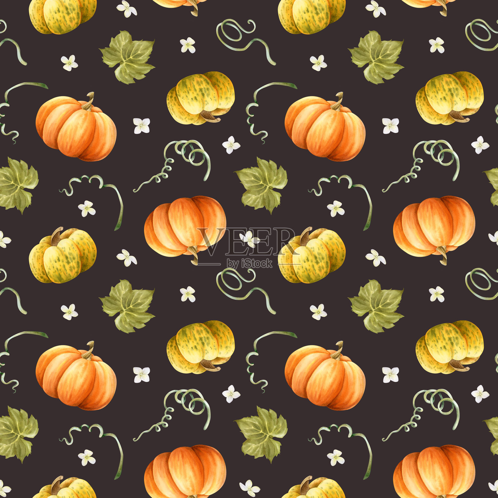 深棕色背景上的南瓜秋季丰收水彩无缝图案。重复手绘的背景，包含秋季橙色和黄色的蔬菜、叶子以及白色小花，适用于有机农场市场的设计。插画图片素材