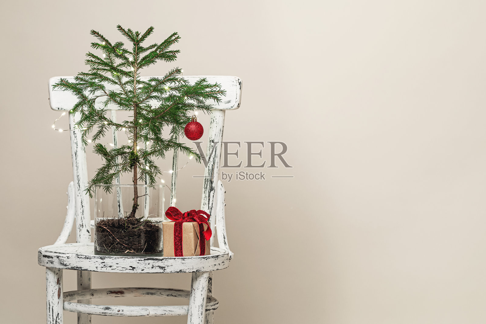 年轻的圣诞树放在玻璃花瓶里，旁边有一个礼品盒，摆放在旧椅子上。照片摄影图片