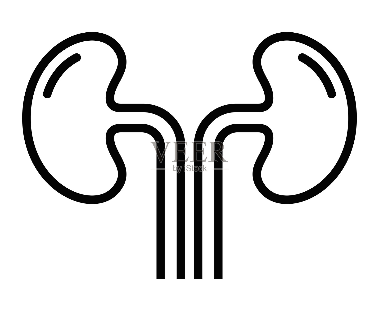 简单的肾脏图标，黑色粗线条矢量图，适用于医疗主题。可编辑的线条。插画图片素材
