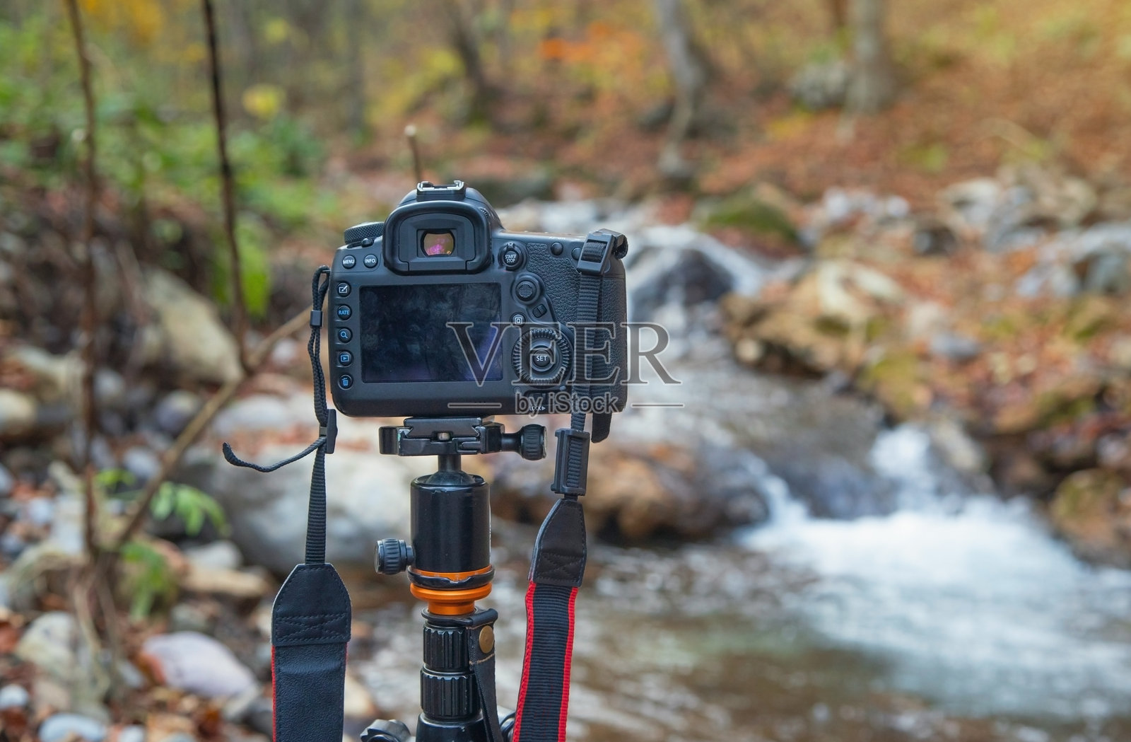 专业相机在自然中拍照。照片摄影图片
