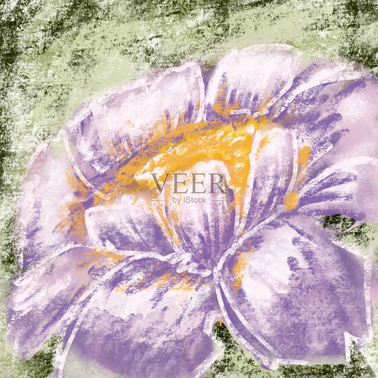 带有花卉插图的磨损背景插画图片素材