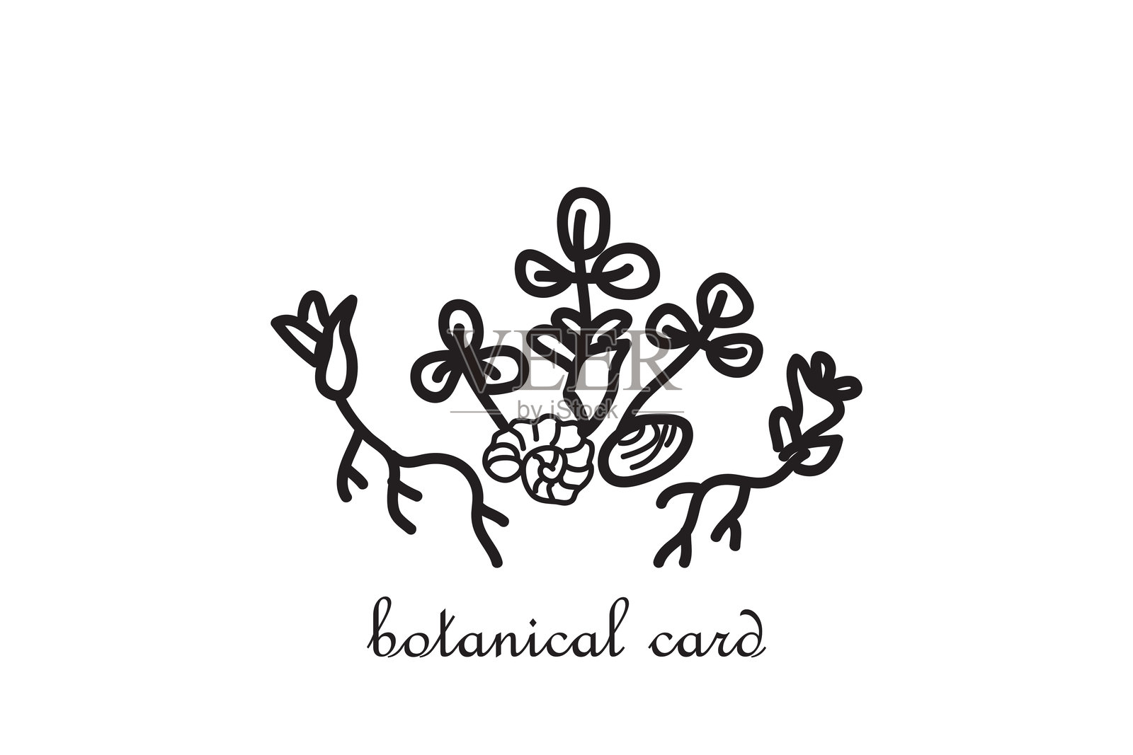 手绘植物生长的根系，背景为白色。时尚的花卉艺术矢量插图。适用于婚礼邀请函、贺卡、传单、横幅和活动边框的图形设计。插画图片素材